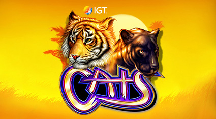 Cats